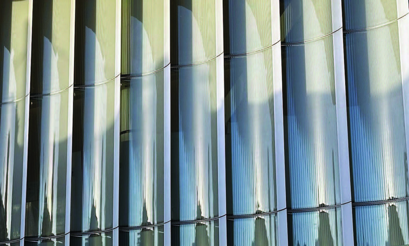 An Ecology of Light: The Synthesis of Light and Structure￼￼￼