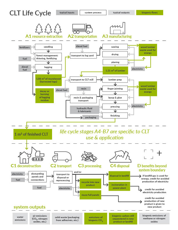 Seeing the Forest and the Trees: Environmental Impacts of Cross-Laminated Timber