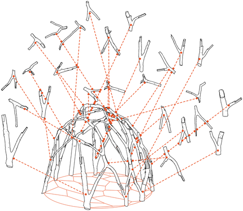 Wild Wood Gridshells: Mixed-Reality Construction of Nonstandard Wood